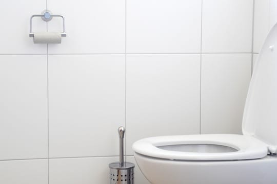 International toiletdag - Værn om din toiletkumme
